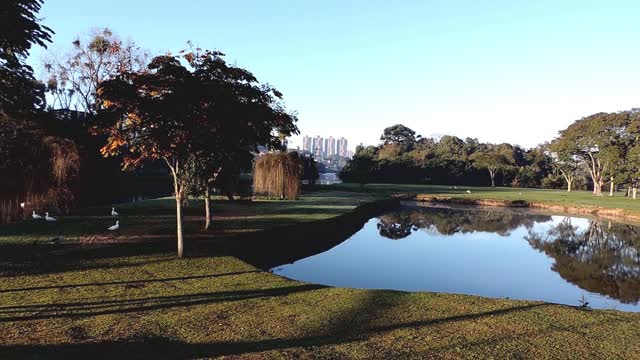 Curitiba barigui park sport