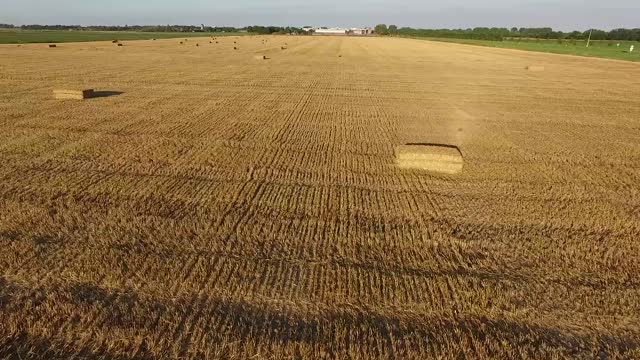 Hay field harvest