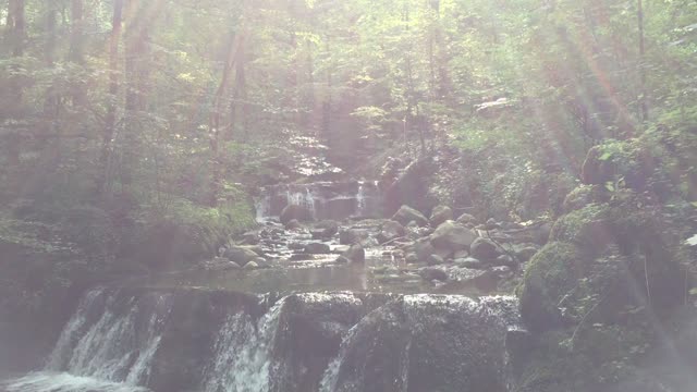Waterfall creek landscape