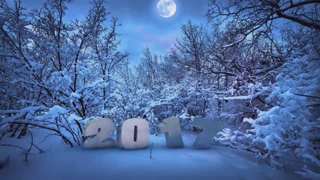 Have a good year mery chistmas happy new year