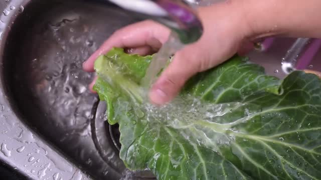 Slice cabbage food