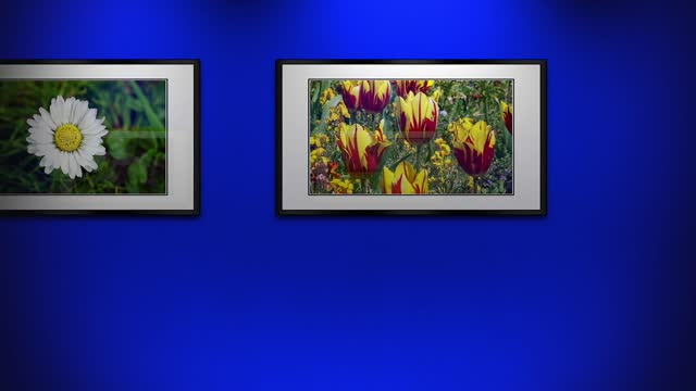 Flowers picture border