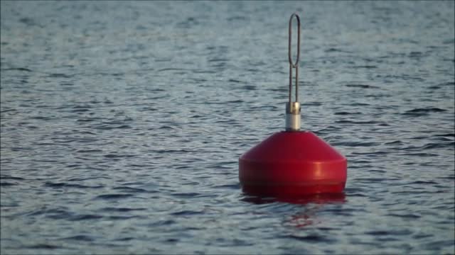Lake buoy summer