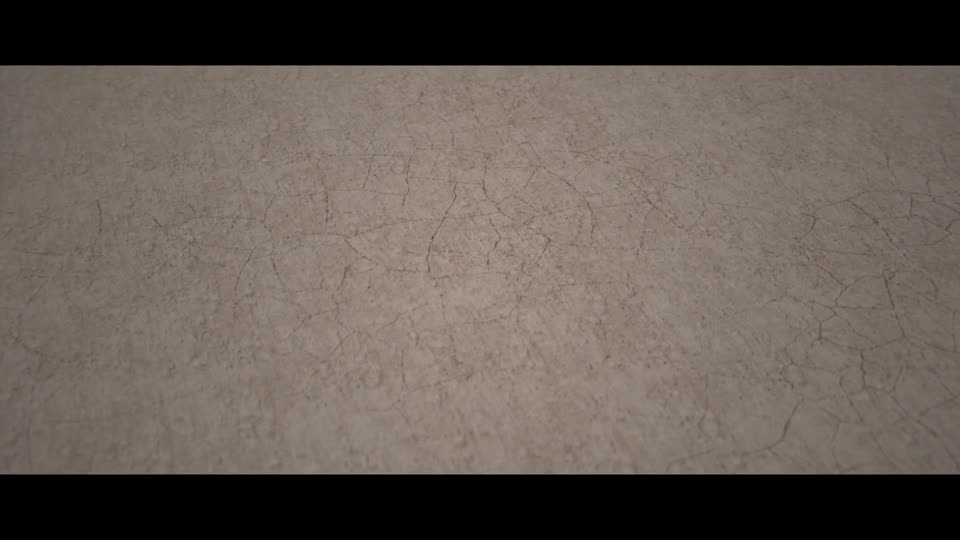 Flower desert karg