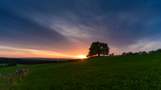 Sunset landscape idyll