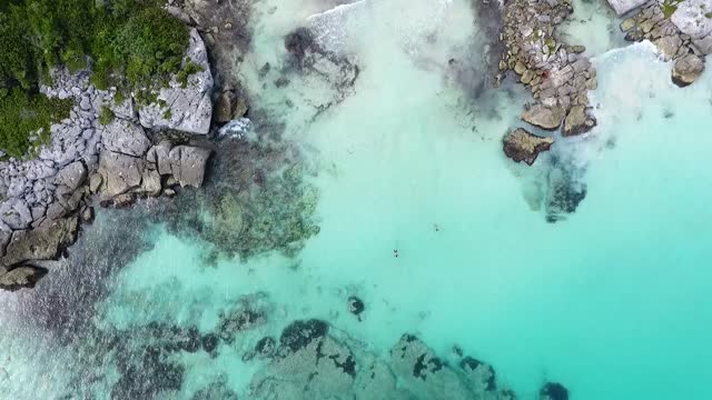 Swimming sea ocean