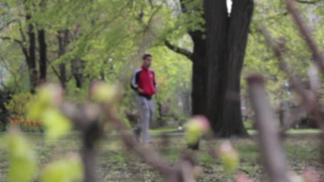 Squirrel park pedestrians