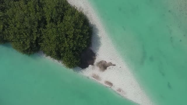 Beach island tropical