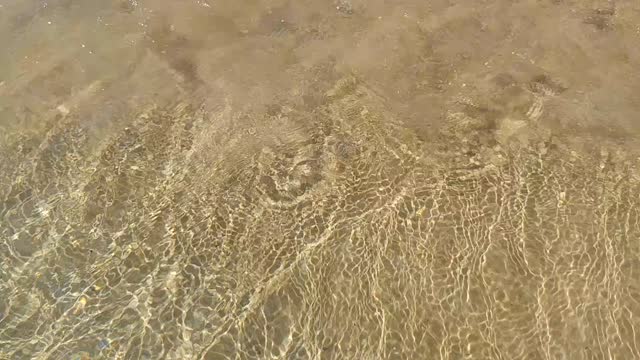 Coast beach wave