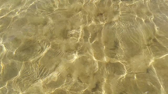 Coast beach wave