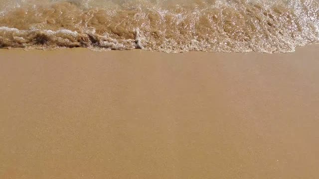 Coast beach wave