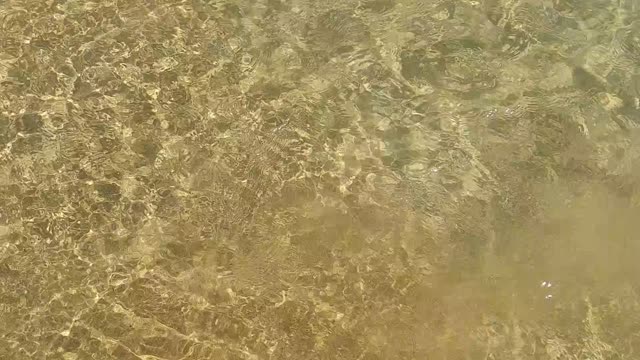 Coast beach wave