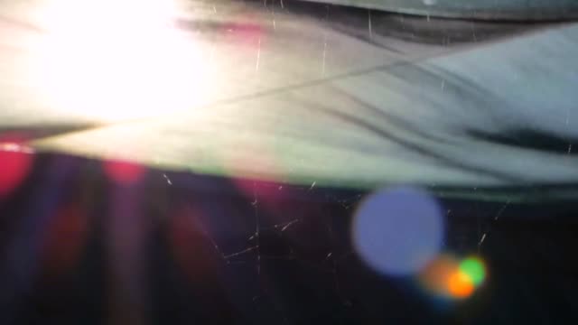 Cobwebs in the sun web sun