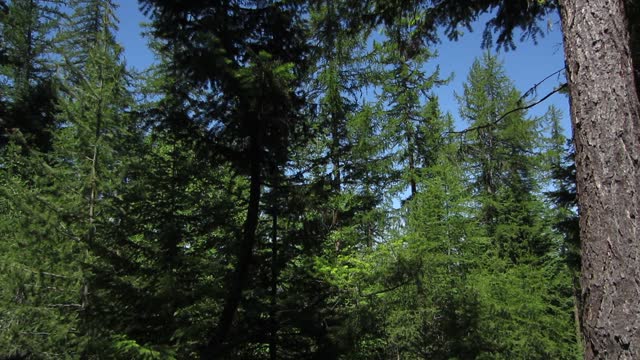 Okanagan landscape wilderness