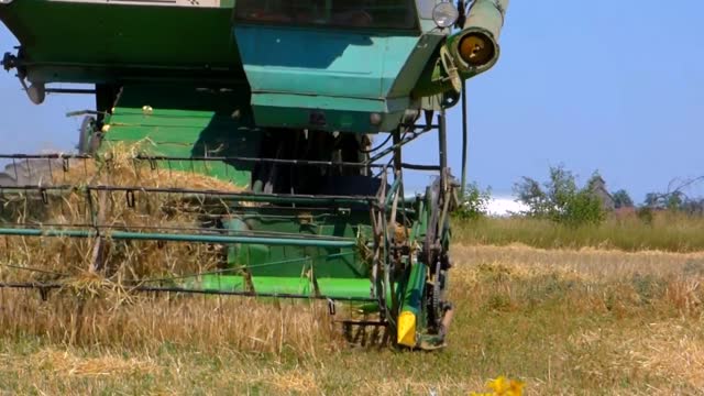 Harvester tractor in field harvests tractor
