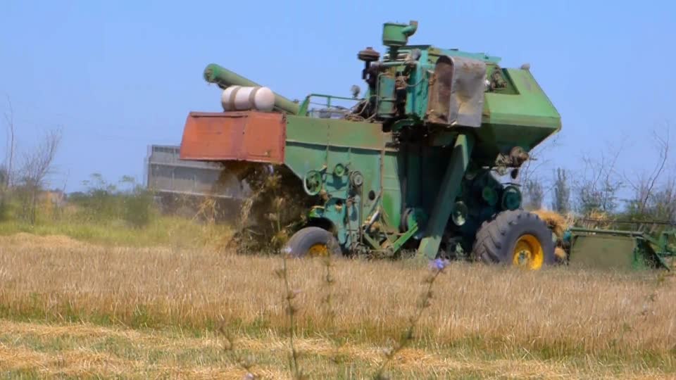 Harvester tractor in field harvests tractor