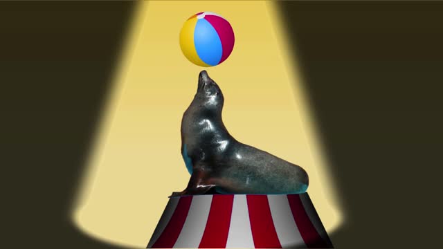 Focuses on animation seal with ball