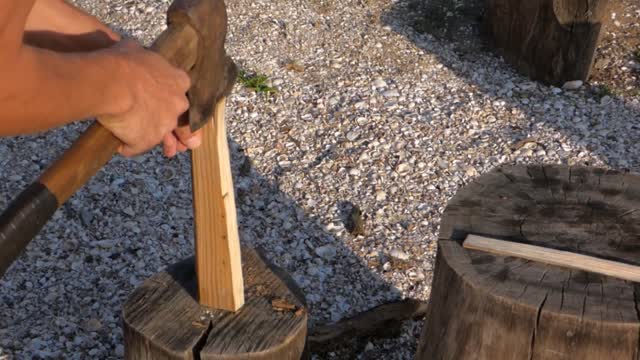 The man with the axe branch human