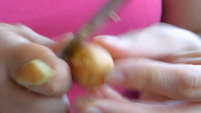 Woman hands potato