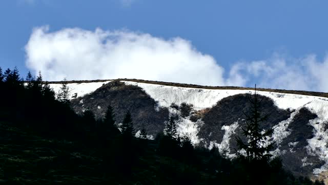 Clouds bark carpathians