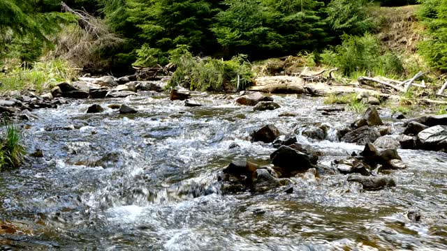 The sound of the creek river mountain river