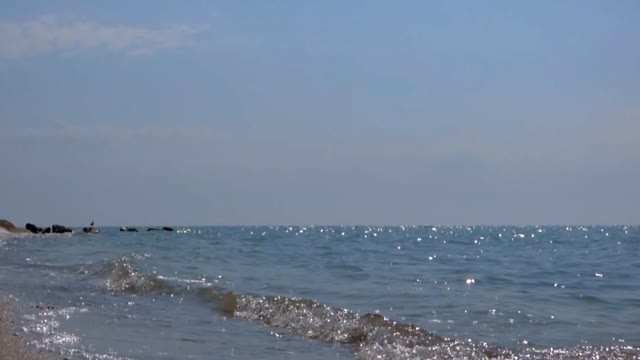 Sea sand wave