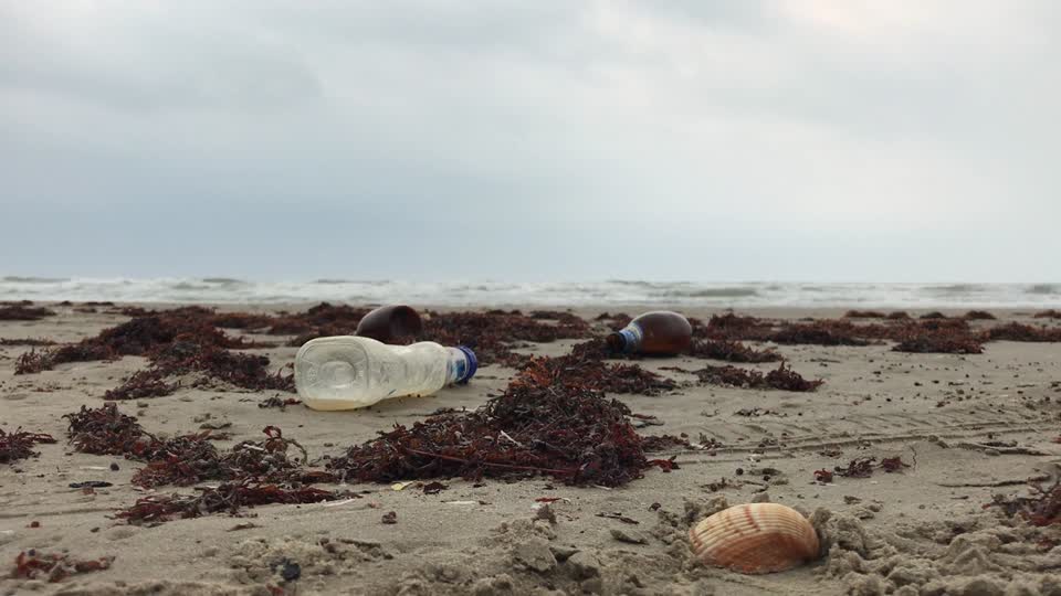 Beach bottle contamination