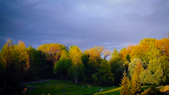 Evening summer timelapse