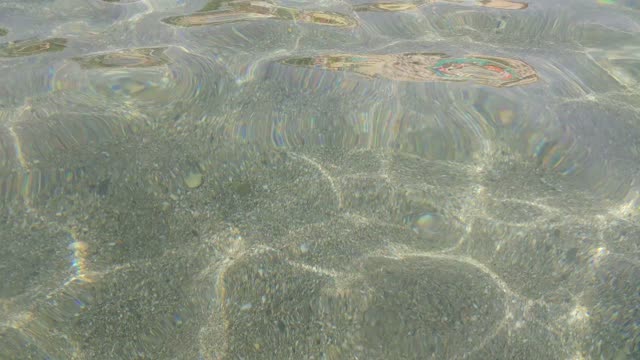 Coast beach wave