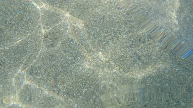 Coast beach wave