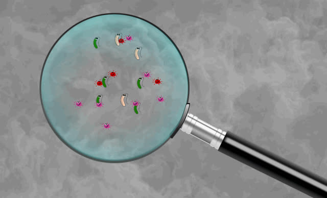 Bacterium germ bacteria