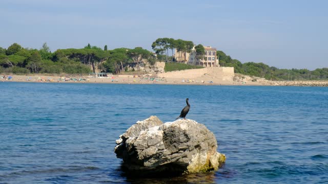 Beach landscape sea