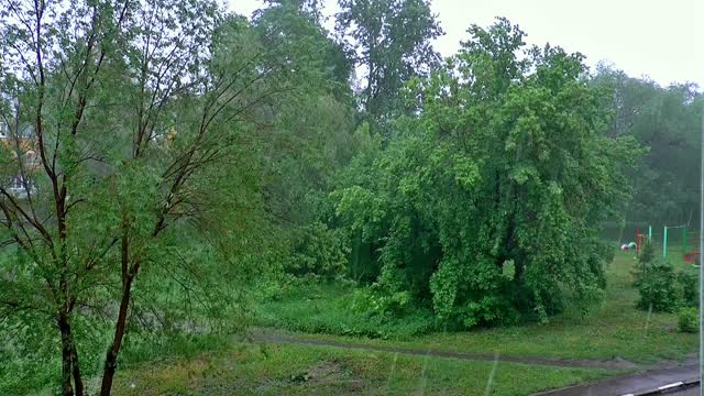 Rain shower thunderstorm