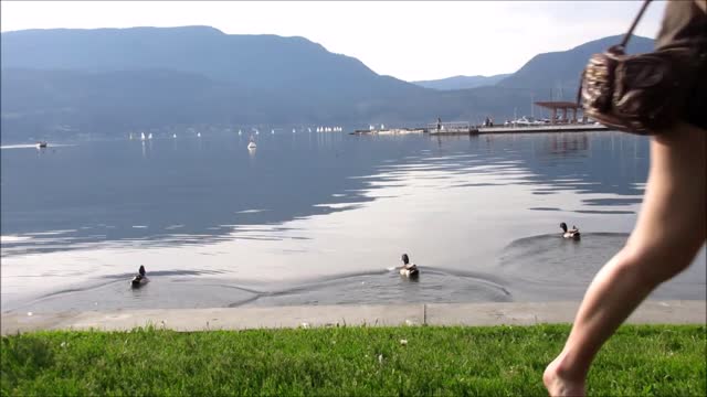 Girl ducks lake