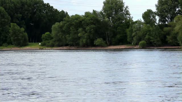 Ship rhine flow