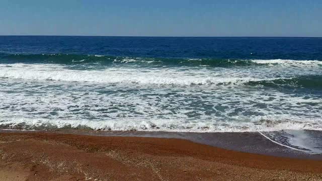 Beach annual sea