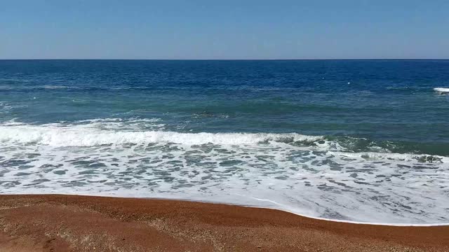 Beach annual sea