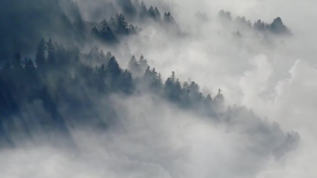 Background clouds forest