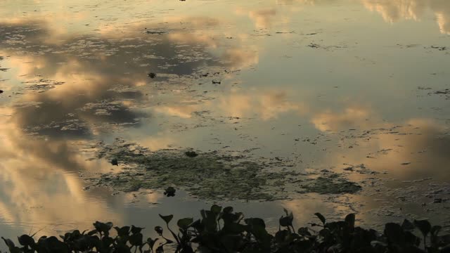 Nature river eventide