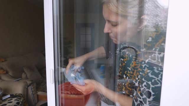 Cleaning of the apartment cleaning woman