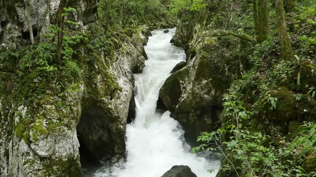 River nature water