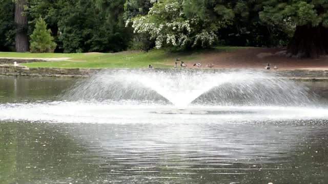 Water fountain clear