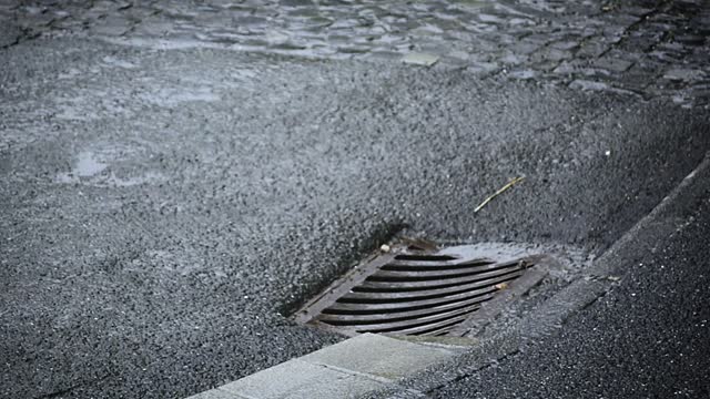 Rain fall drops