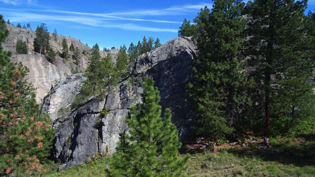 Cliffs forest fir trees