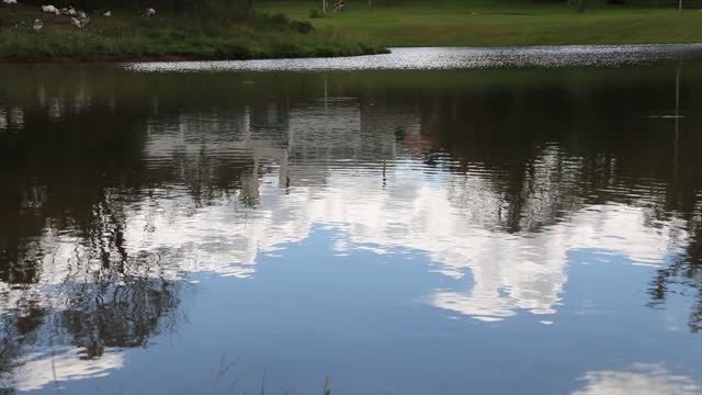 Water landscape lake