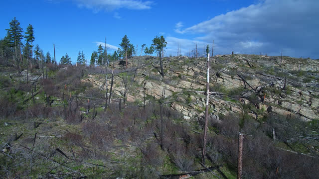 Okanagan aerial landscape