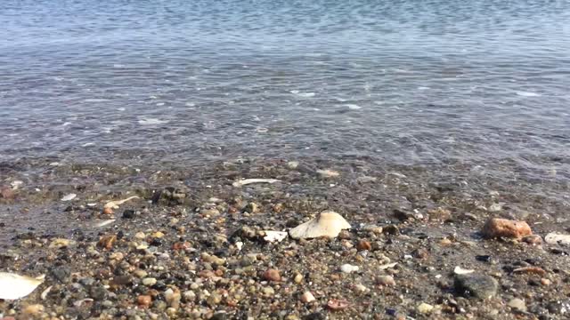 Water wave shell