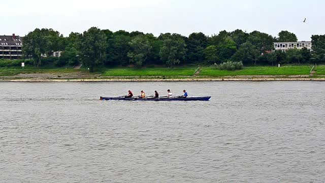 Rower rowing rowboat