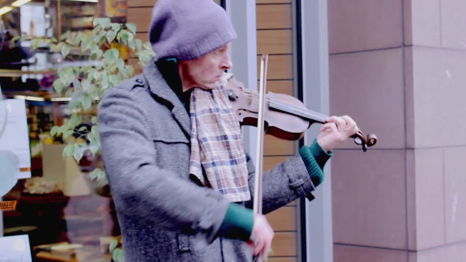 Violin musician music