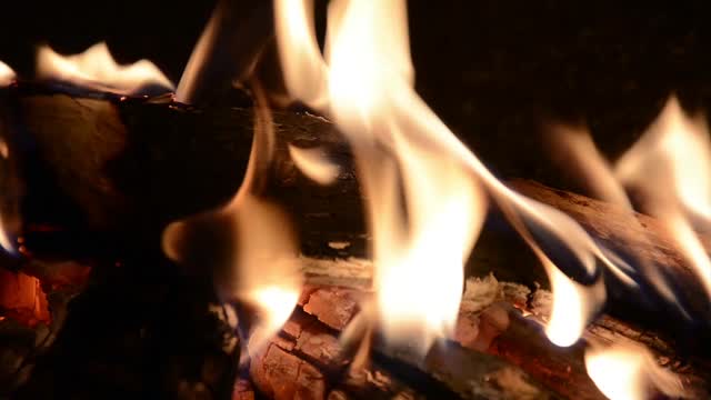 Fire campfire easter fire